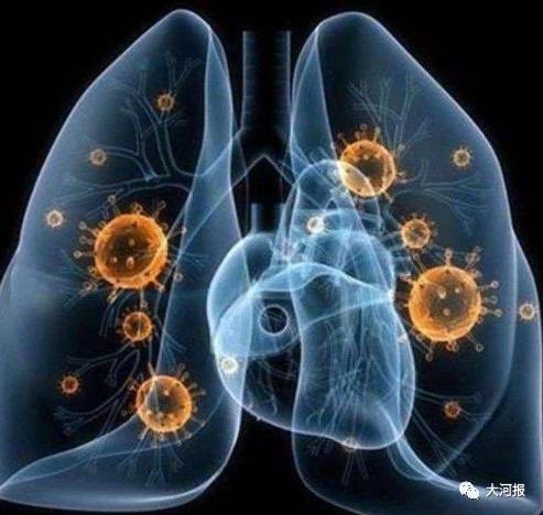 郑州市市政府任免通知,人事任免通知郑州