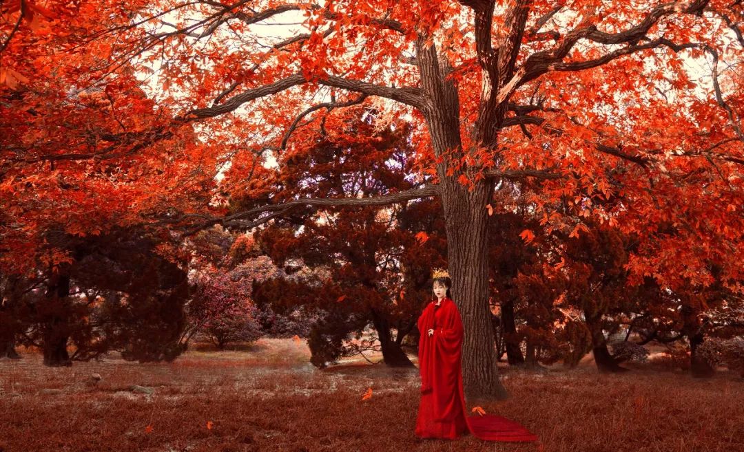 青岛古装拍摄地方推荐,上海199元拍古装摄影