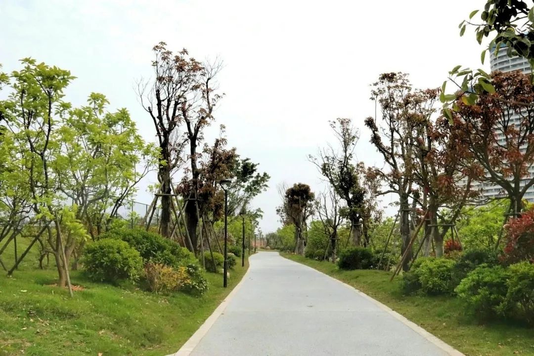 期待公园的盛大开放,福州体育公园有哪些