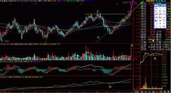 股票有时涨停有时打开怎么回事,股市如果一直上涨会发生什么