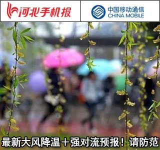 养老金迎上调窗口期新闻,养老金上调宣传报道