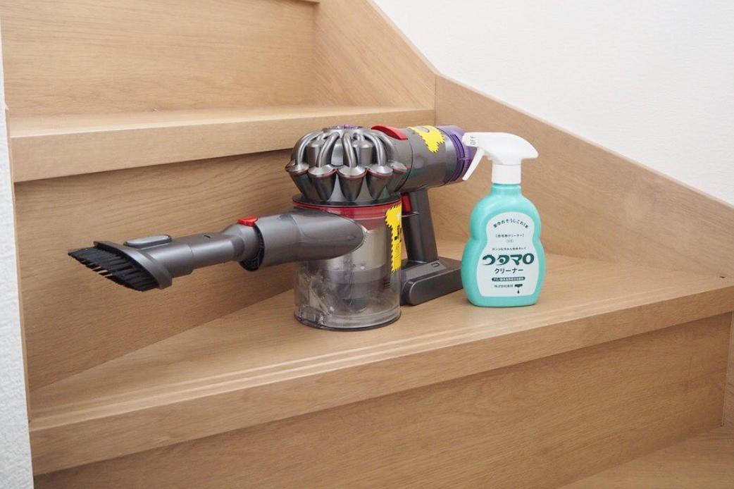 为什么房子里总有小毛毛,为什么房子里面会长蘑菇科学探究