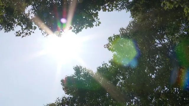 嘉兴气候变化,浙江嘉兴的气候变化