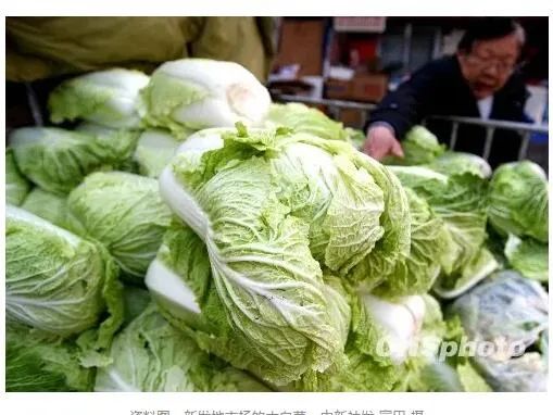 原油高开低走延续震荡走势,原油暴跌