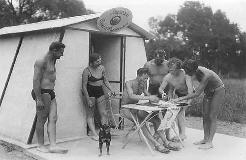 「趣闻」天堂隔离点！这个法国小岛零新冠，而且它还有个特点