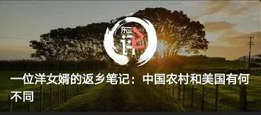 六十年代一毛钱能买什么,六十年代一元钱可以买到什么