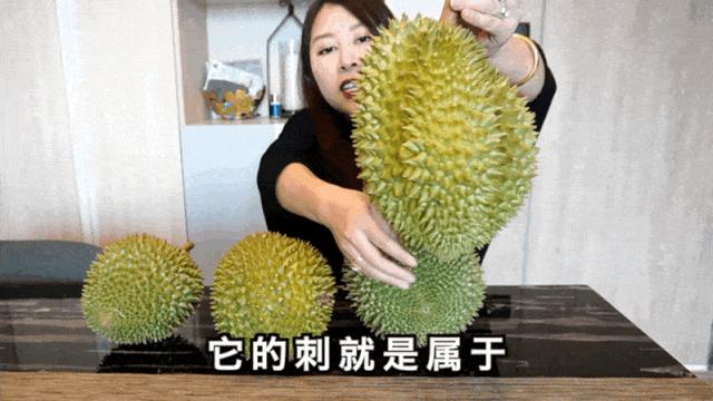 排名第一的泰国口味最好的榴莲,泰国榴莲哪个品种最好