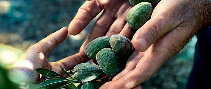 21天全测评,21天真实测评