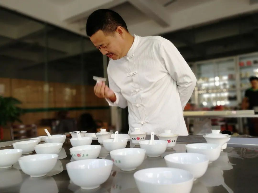 正宗安溪好茶,安溪正宗茶