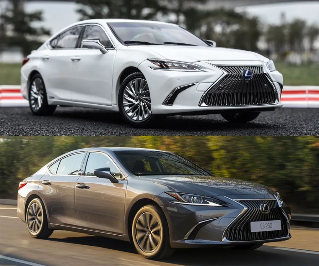 放心，模型不加价，ES模型测评