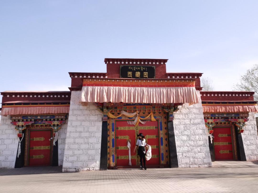 春天游世园地址,春天带你去游玩