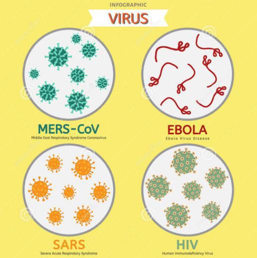 实验室人员曝光新冠病毒,实验室揭秘新冠病毒