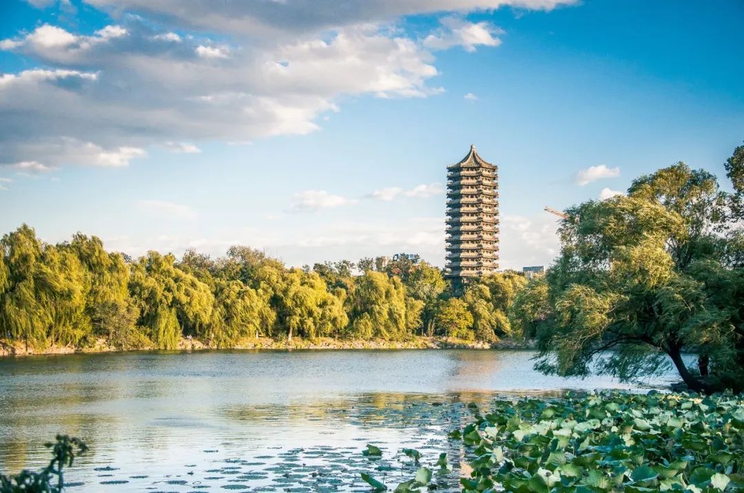 北大精华课,北大金课怎么看