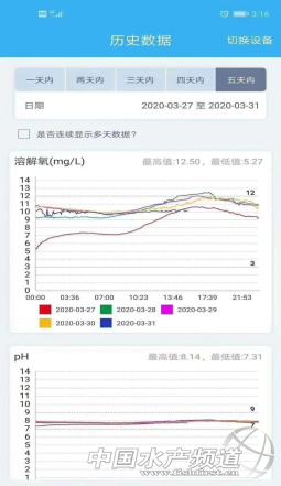 黄颡鱼暴死,黄颡鱼有零星死亡怎么回事