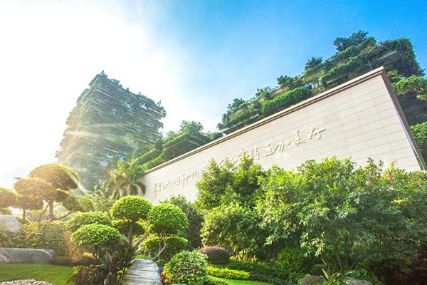 碧桂园服务招募城市合伙人,碧桂园招募合伙人