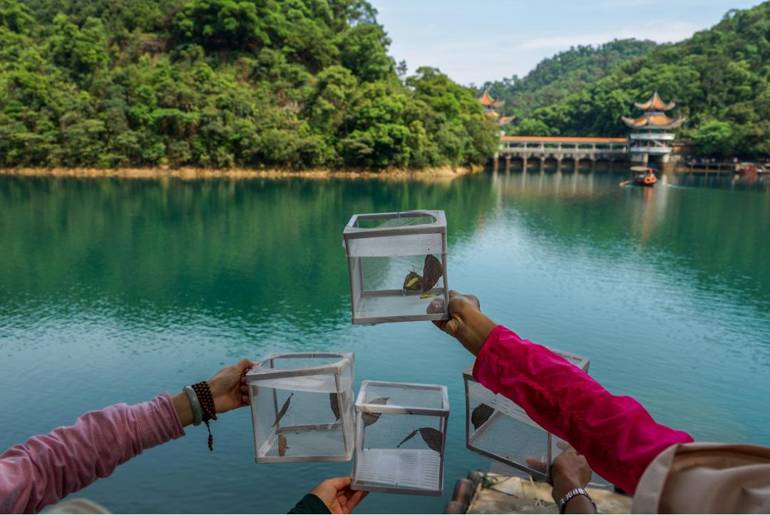 好玩的端午游活动,好玩的端午假期