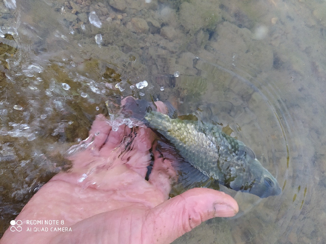 海竿串钩钓大鱼技巧和方法,海竿串钩怎么钓最灵活图解