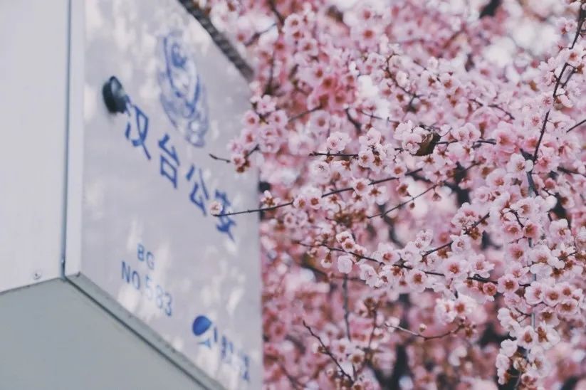 从燕园到家乡丨一种相思，两处*光春**