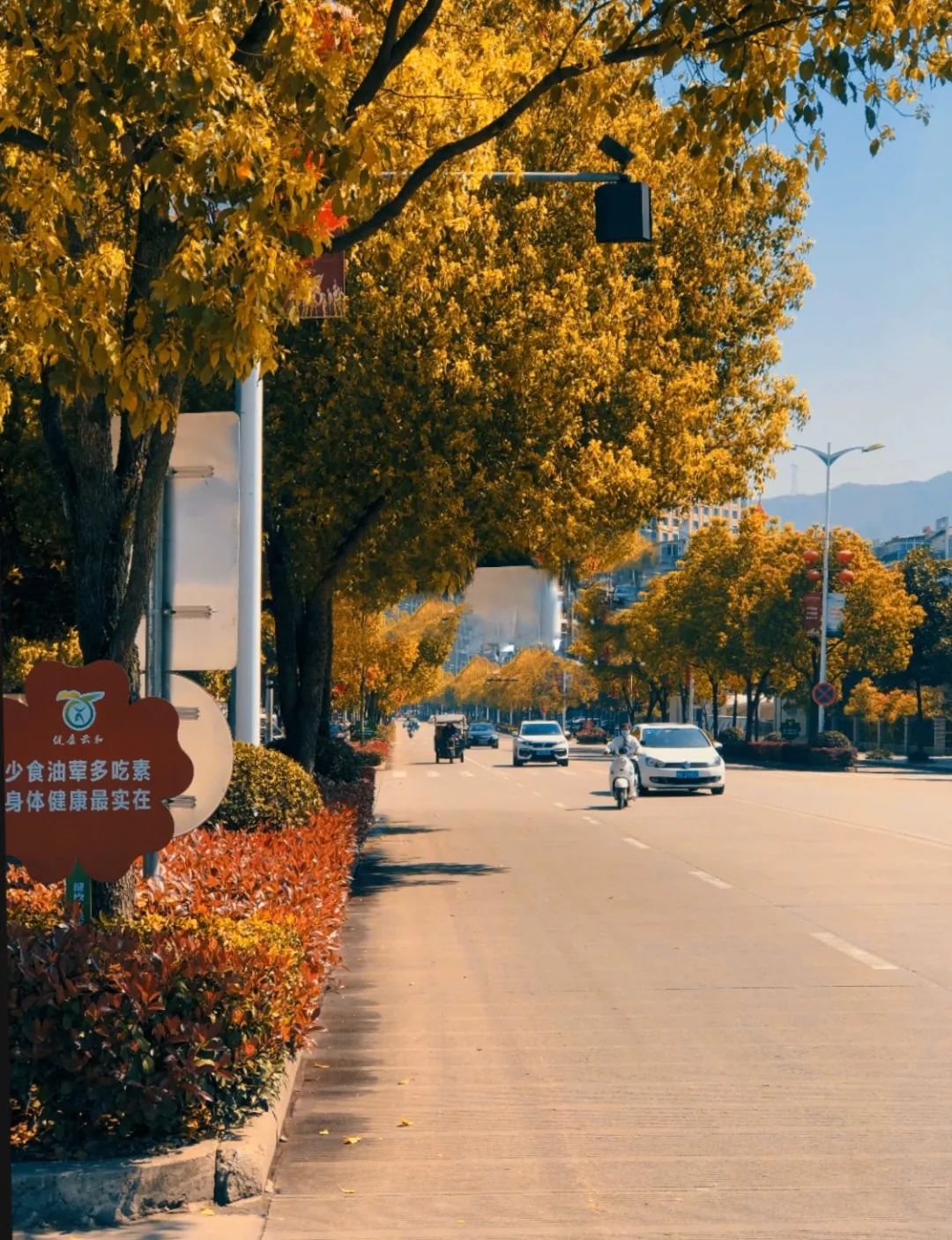 浜戝拰闈為仐,涓変唬鎵嬭壓浜虹殑鍧氭寔