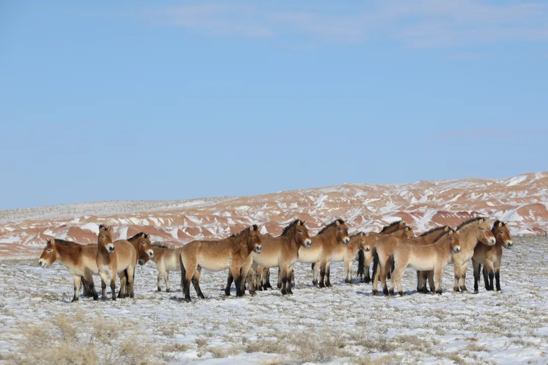 绾垫í椹伴獘绛栭┈鎵灜瑙嗛,绾垫í椹伴獘鍙ュ瓙