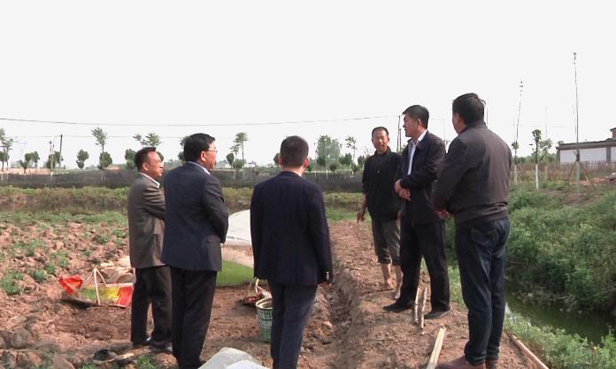 李灵敏到明港镇调研脱贫攻坚工作,信阳市明港镇李灵敏