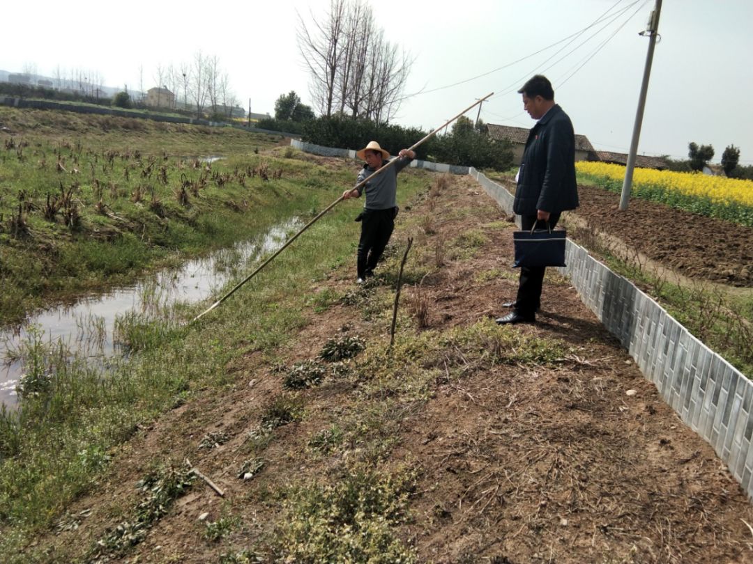 疫情防控财政,疫情防控体现国家力量