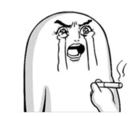 动物森友会玩些什么,动物森友会能2人用一个switch玩么