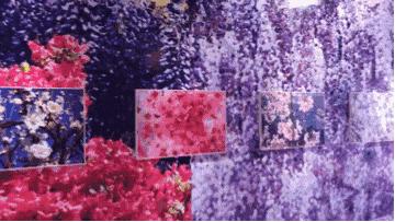 日本在世当代艺术家,日本当代艺术家太阳花