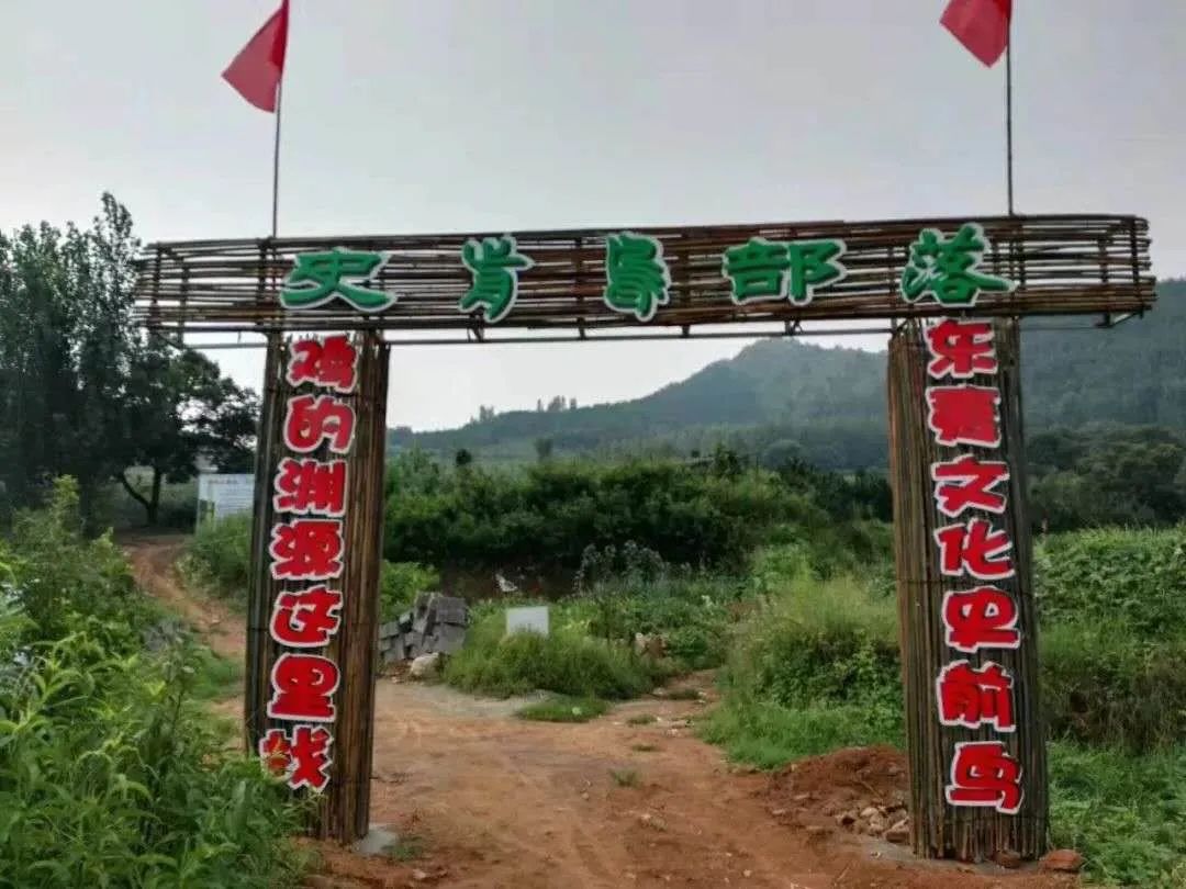 樱桃熟了五一好去处,采摘樱桃好去处五莲