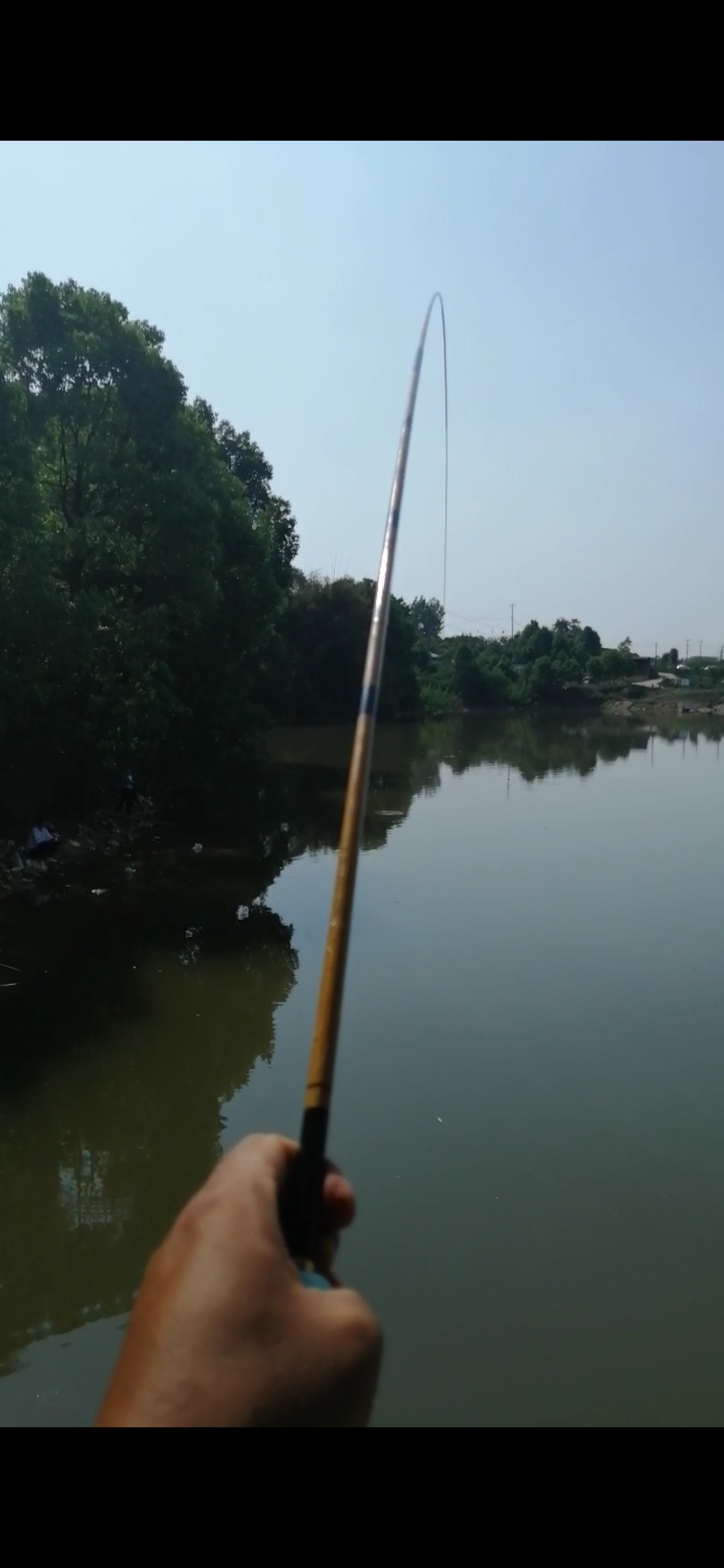 老钓友用什么钓鲫鱼,老钓友钓鱼技巧