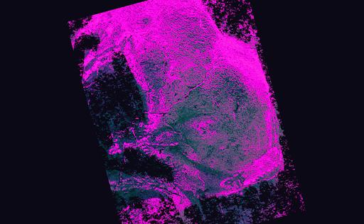 DAOSquare加密情报：DeFi呼唤女性