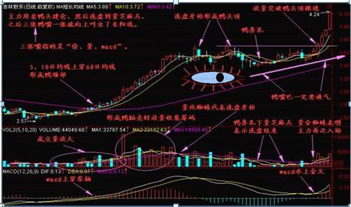 股市暗语1001,股市暗语99