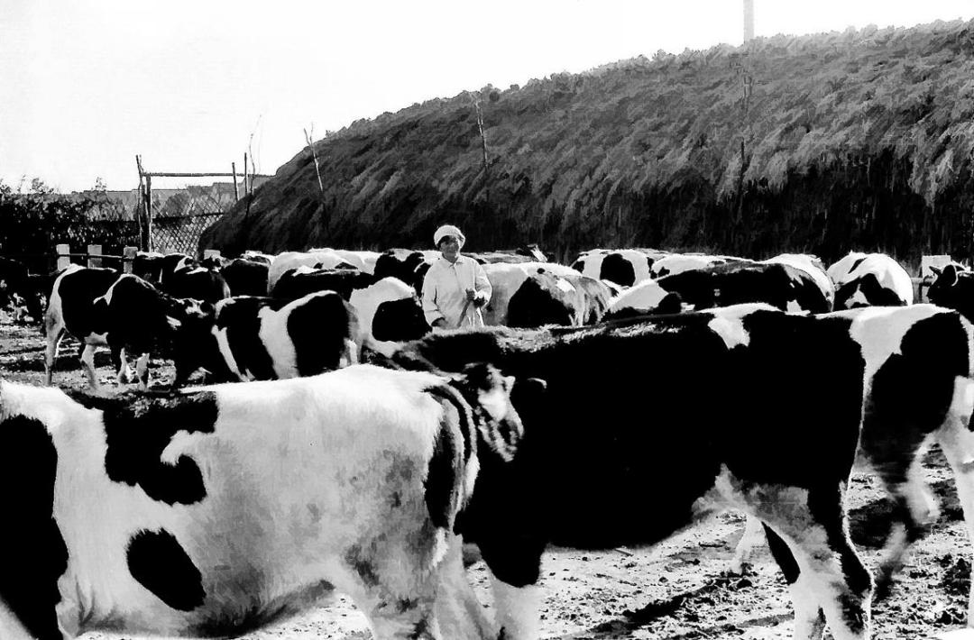 巴黎春天天山路店,巴黎春天升级款