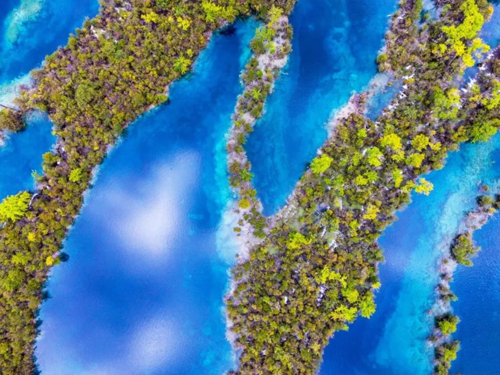 卫星图上的九寨沟,九寨沟全景解说