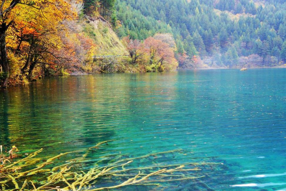 卫星图上的九寨沟,九寨沟全景解说