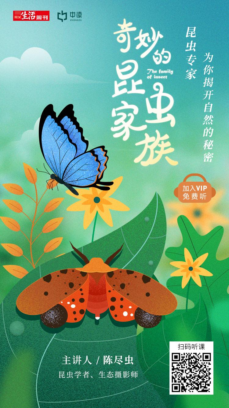 揭开令人厌恶的面纱,它们竟是治愈系的小精灵