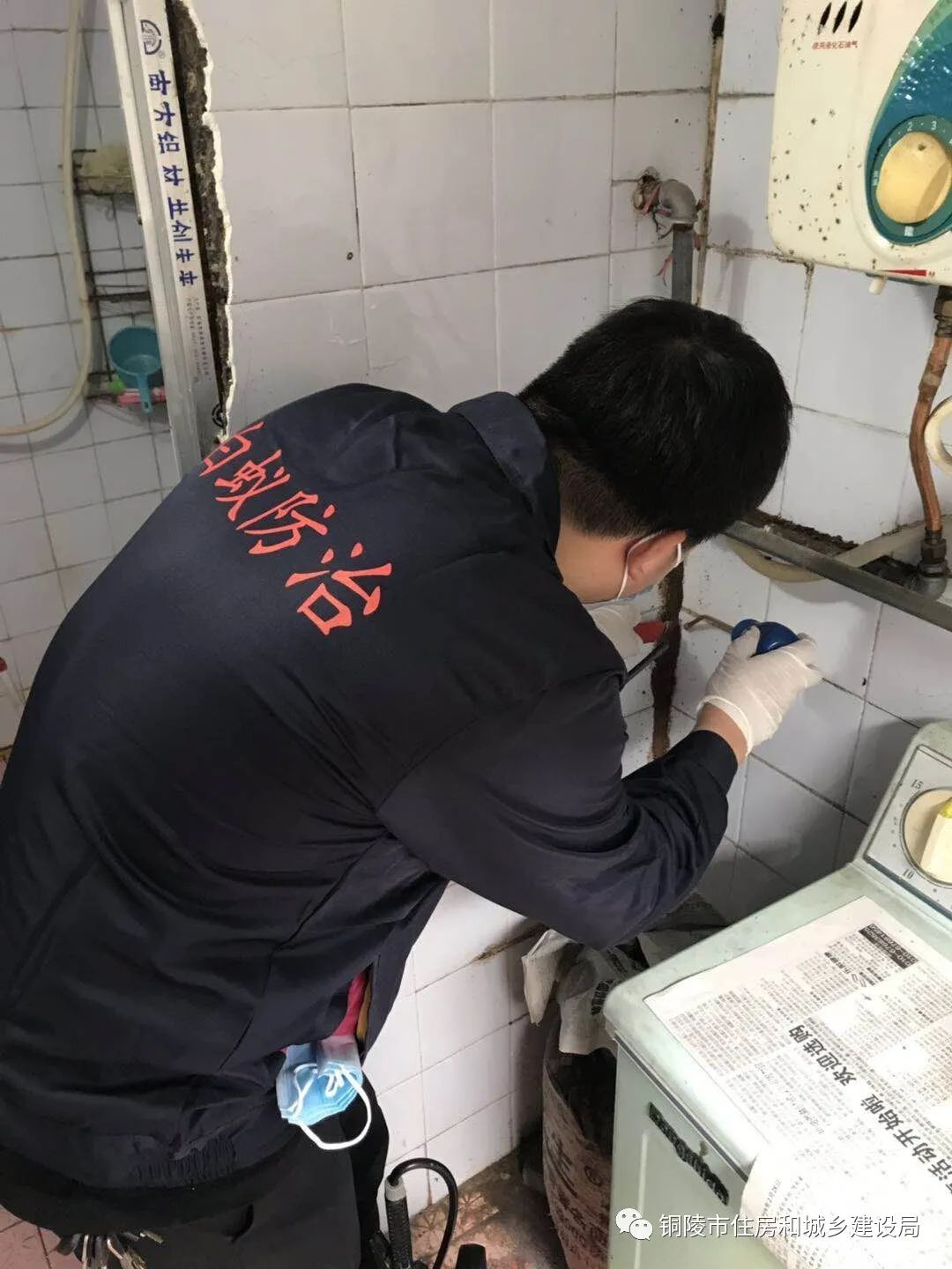 白蚁被惊动了不出现了怎么办,在白蚁纷飞季节家进了白蚁怎么办