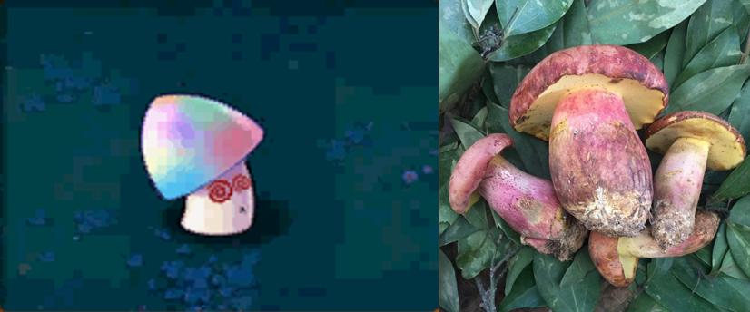 植物大战僵尸盘点那些奇葩的植物,植物大战僵尸最诡异的十大植物