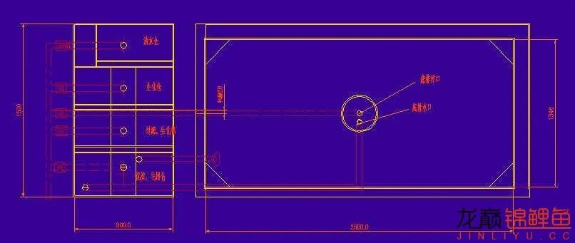 迷上鲤鱼精，露台安家2.5立方锦鲤池，生活设施一应俱全
