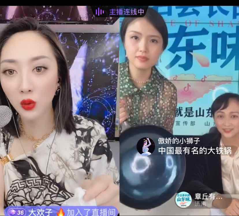 百名县长山东味完整视频,百名县长山东味直播