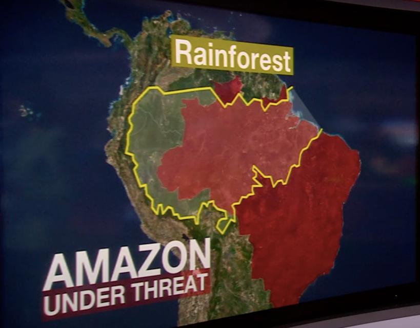 三个月砍掉20个曼哈顿,一年砍掉一个国家,亚马逊已经到了最危急的时候