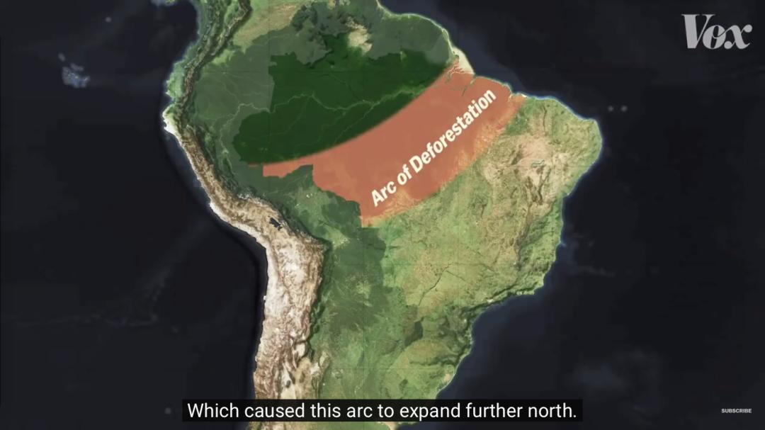 三个月砍掉20个曼哈顿,一年砍掉一个国家,亚马逊已经到了最危急的时候