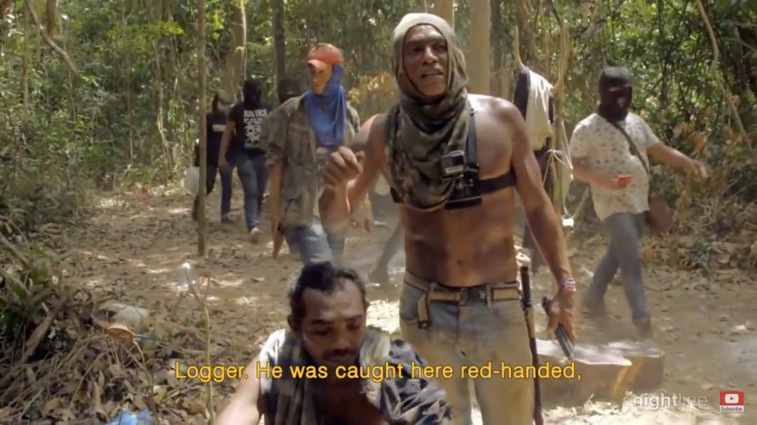 三个月砍掉20个曼哈顿,一年砍掉一个国家,亚马逊已经到了最危急的时候