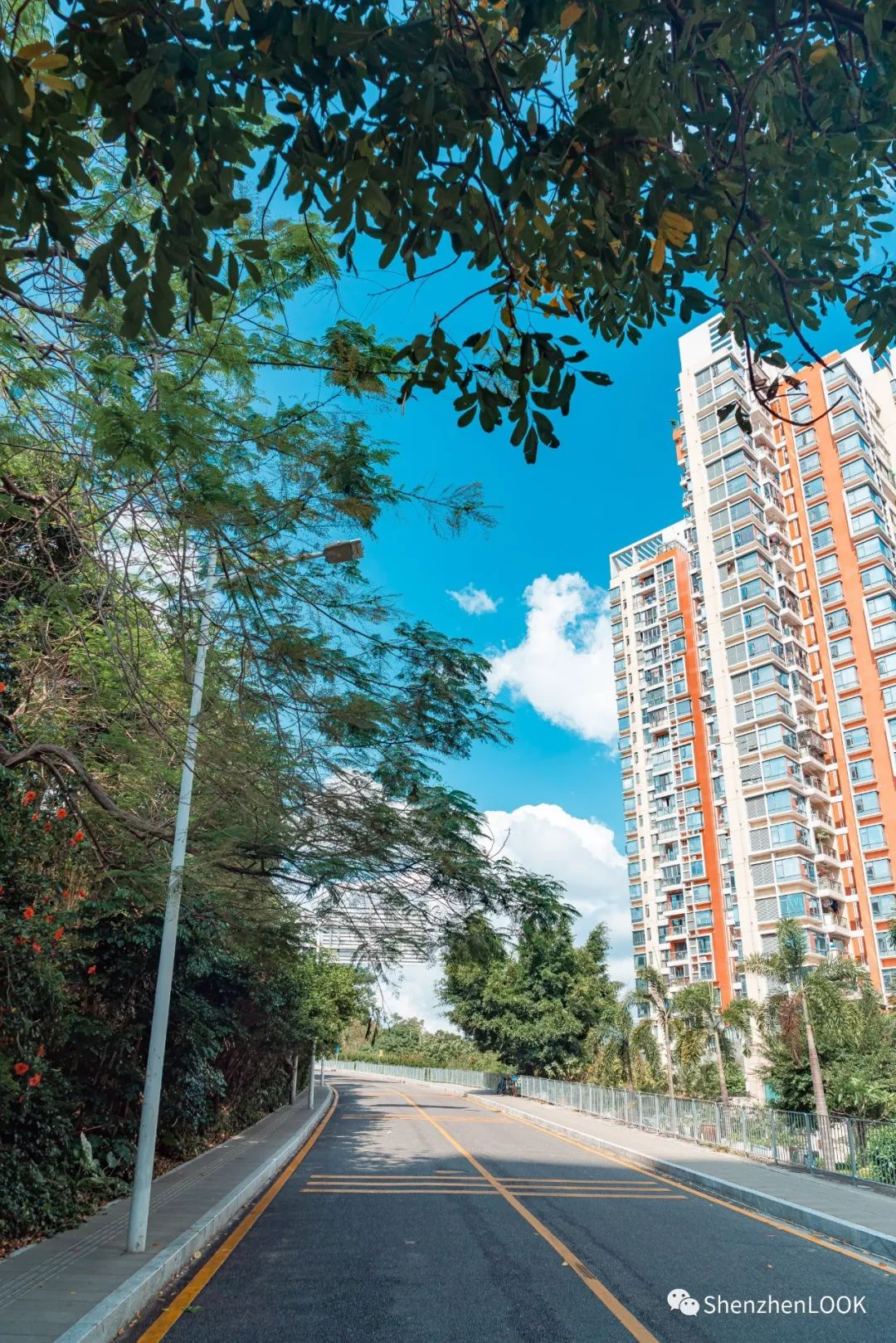 严浩翔说look这是tnt什么舞台,look这是什么牌子的包包