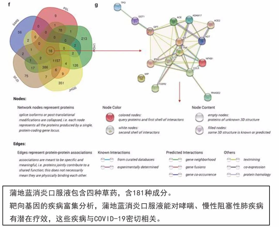蒲地蓝治新冠病毒,新冠蒲地蓝抗病毒口服液