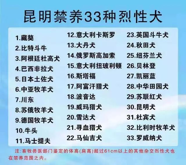 没收的禁养的狗罚款多少,没收犬只