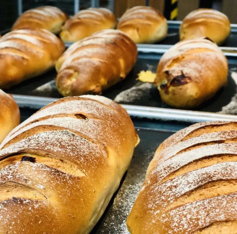 网友吸猫撸狗,吸猫撸狗的地方