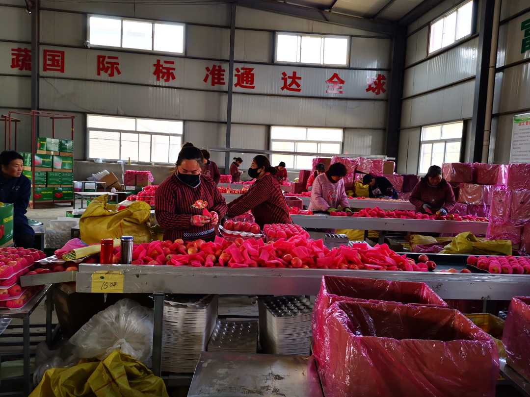 甘肃一扶,甘肃礼县一扶一带名单