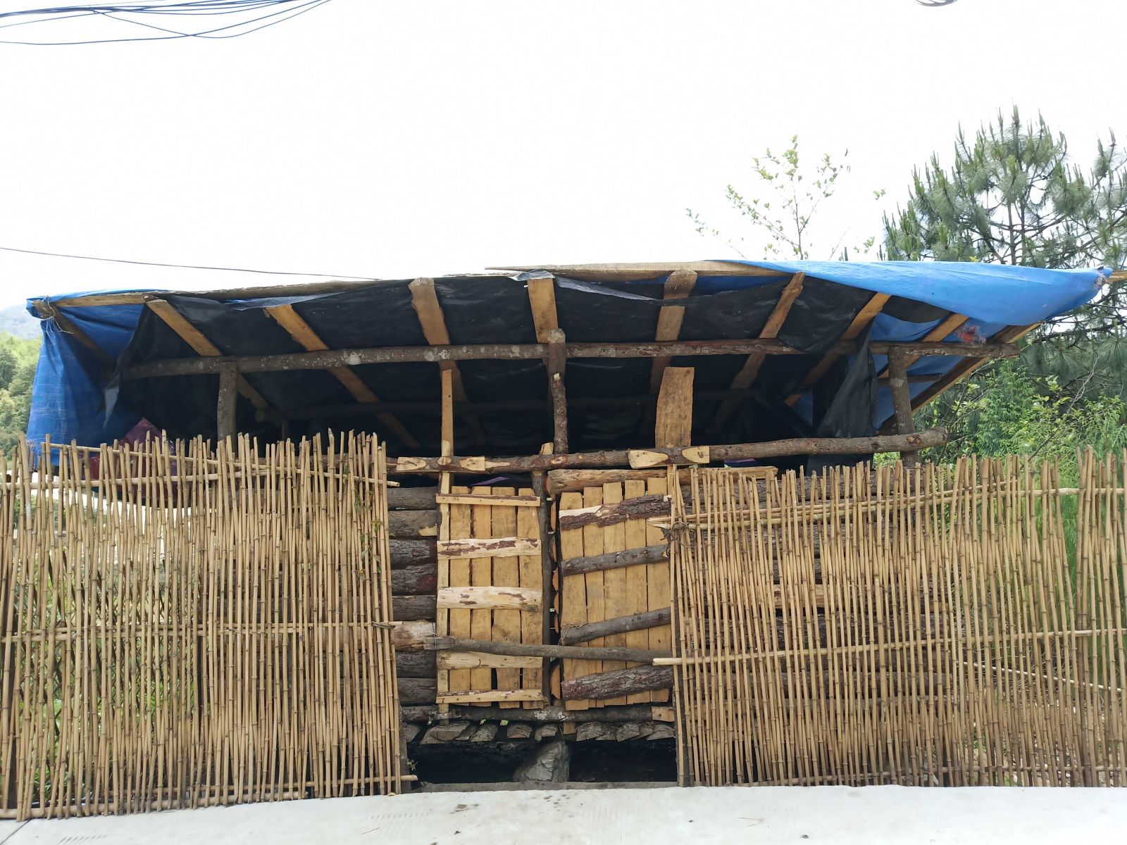 温暖保山:绰号叫“憨巴”,但是我的二叔一点都不憨