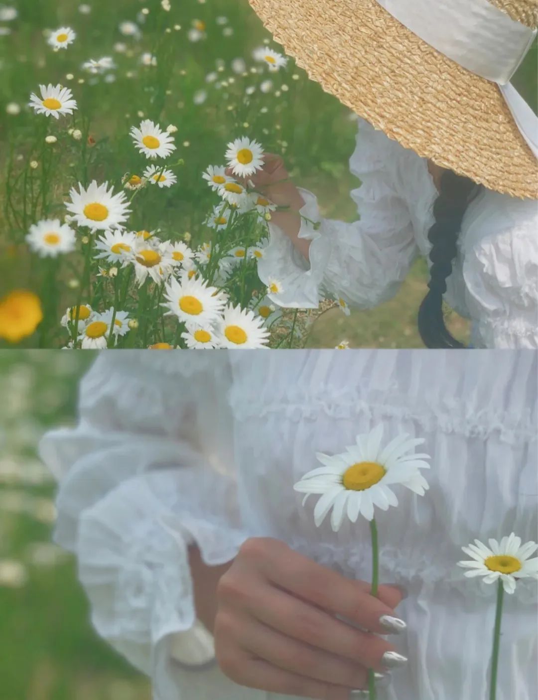 成都五个打卡地,成都5月打卡